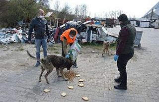 Yasağın ikinci gününde Havza Belediyesi’nden...