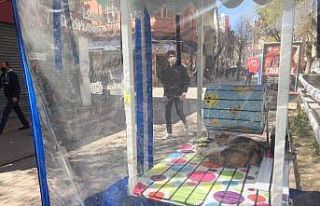 Yavru kedi insanlara izole şekilde uyudu