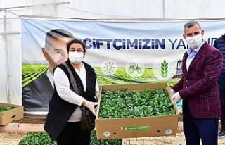 Yeşilyurt’ta 100 bin sebze fidesi dağıtımına...