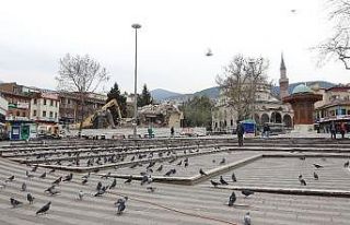Yıkımı insanlar yerine güvercinler izledi