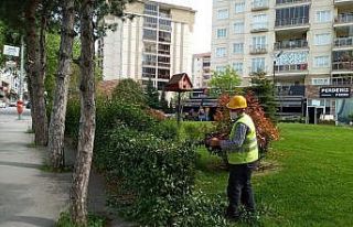 Yıldırım’da parklara özel bakım