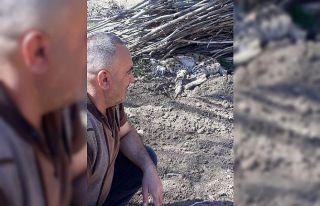 Yorgunluktan bitkin düşen vaşak, Bayburt’ta görüntülendi