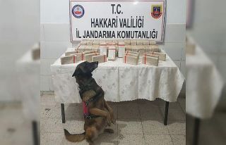 Yüksekova’da 114 kilo 900 gram eroin ele geçirildi