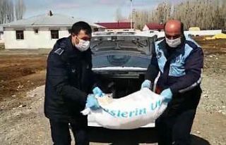 Zabıta ekipleri un çuvalını elleriyle taşıyıp...