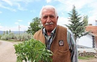 65 yaş üzeri vatandaşın bahçe bakımını belediye...