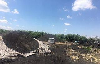 Adana’da ruhsatsız mangal kömürü üretimine...