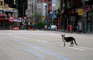 Adana’nın en işlek caddelerinde ıssızlık hüküm...