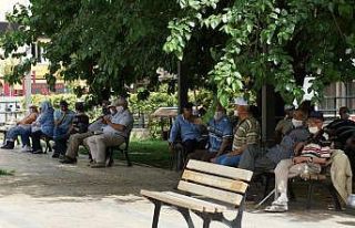 Ağaç gölgeleri yaşlılara korunak oldu