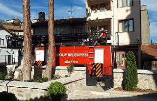 Ağaçta mahsur kalan kediyi itfaiye kurtardı