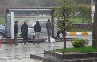 Ahlat’ta şiddetli yağış etkili oldu