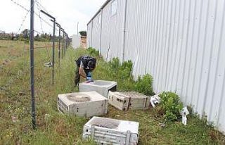 Akdeniz Üniversitesinden el arabasıyla klima hırsızlığı