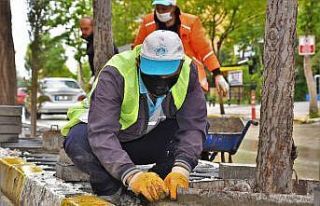 Aksaray Belediyesi şehir genelinde güzelleştirme...