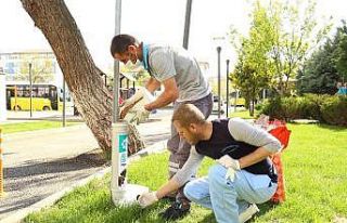 Aksaray Belediyesi sokak hayvanları için mama ve...
