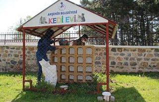 Akşehir’de sokak hayvanları unutulmuyor