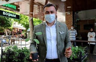 Alanya’da su kabağı fidesi dağıtımı