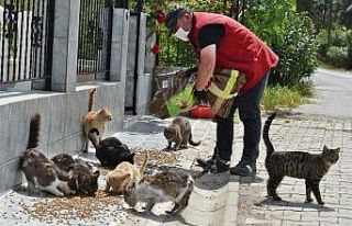 Aliağa Belediyesi mama dağıtımlarını sürdürüyor