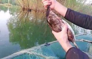 Altınapa barajında avlanma denetimi