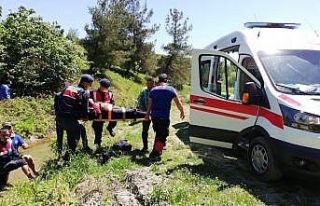Alzheimer hastası arazide baygın halde bulundu