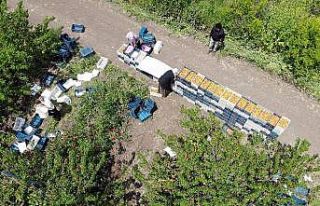 Amik Ovası’nda tarımsal üretim tüm hızıyla...