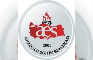 Anadolu Eğitim Sen Kırşehir Temsilciliği kuruldu