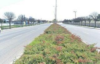 Ankara Büyükşehir Belediyesinden sulamada tasarruf...