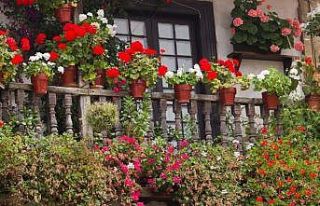 Ankara’da en güzel pencere, balkon ve teraslar...