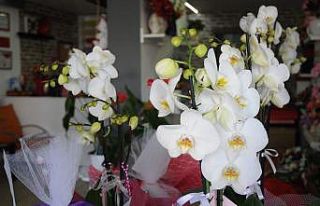 Anneler Günü’nde çiçek satışları geçmiş...