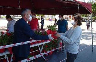 Annelere 10 bin adet saksı çiçeği