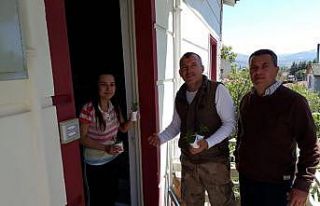 Annelere çiçek yerine sebze fidesi