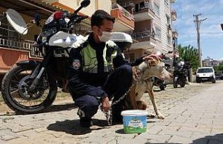 Antalya’da şahin polis ekipleri, sokakta yaşayan...