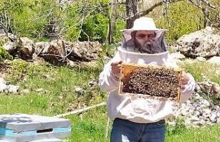 Antalya’da sıcaklıklar arttı, arılar yaylaya...