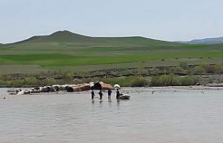 Aras nehrine düşen şahsın cesedine ulaşıldı