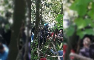 Arazi anlaşmazlığı nedeniyle 3 akrabasını öldüren...