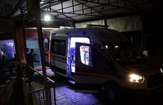 Araziden topladıkları mantarları yiyen 3 kişi...