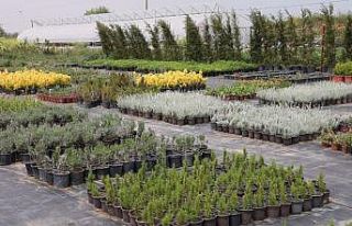 Aromatik ve Tıbbi Bitkiler Borsası Büyükçekmece’de...