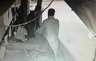 Arsız hırsızlar yakayı ele verdi