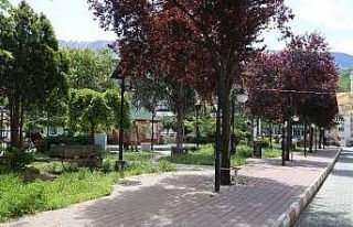 Artvin’de Korona virüs vaka sayısı sıfırlandı,...