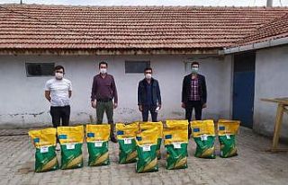 Aslanapa’da ’’Danelik mısır tohumu’’ dağıtıldı