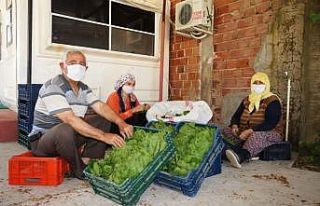 Asma yapraklarıyla aile ekonomilerine katkı sağlıyorlar