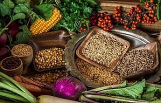 Ata tohumları Türkiye’nin her yanına gönderildi