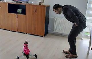 Ayakları felç kedi yürüteç ile hayata döndü