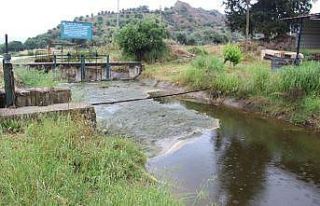 Aydınlı üreticiler, Büyük Menderes’ten su verilen...