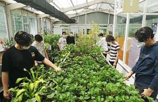 Bağcılar’da parklar gençlere kaldı