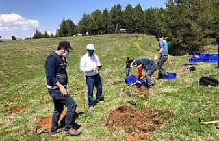 Bal ormanına 5 bin adet fidan dikildi