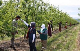 Balıkesir’e mevsimlik tarım işçileri geldi