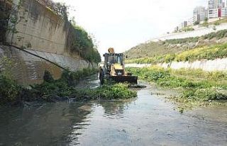 Başakşehir’de sivrisinek mücadelesi larvalardan...