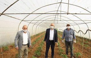 Başkan Büyükgöz çiftçileri unutmadı