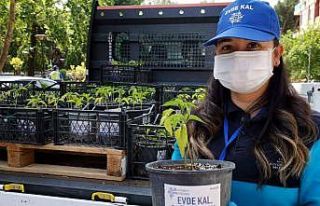 Başkan Çerçioğlu’ndan yaşlılara jest
