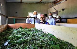 Başkan Gürün ipek böcekçiliği üreticileriyle...