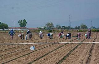 Başkan Özkan’dan pancar üreticilerine sevindirici...
